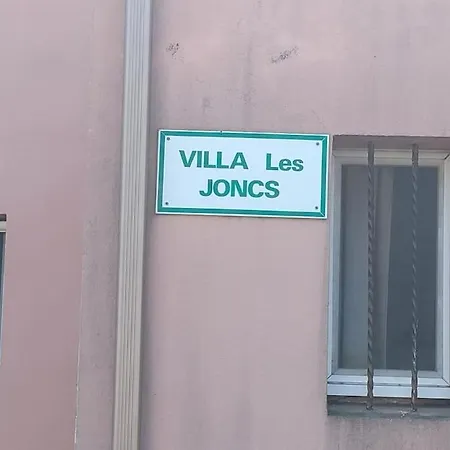 Au Cap D'agde Dans Les Pinèdes *