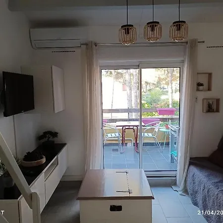 Appartement Au Cap D'agde Dans Les Pinèdes