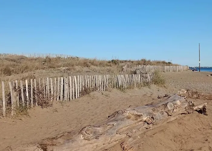 Au Cap D'agde Dans Les Pinedes