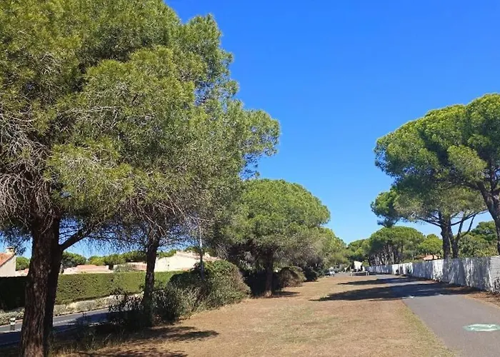 Au Cap D'agde Dans Les Pinedes
