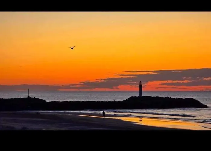 Au Cap D'agde Dans Les Pinedes