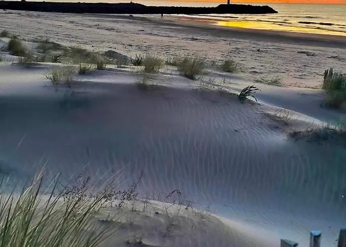 Au Cap D'agde Dans Les Pinedes