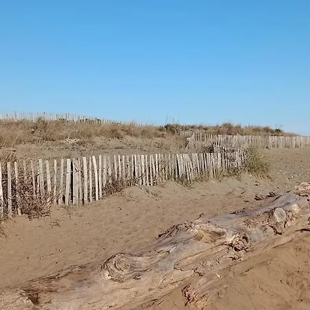 Au Cap D'agde Dans Les Pinedes