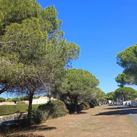 Au Cap D'agde Dans Les Pinedes