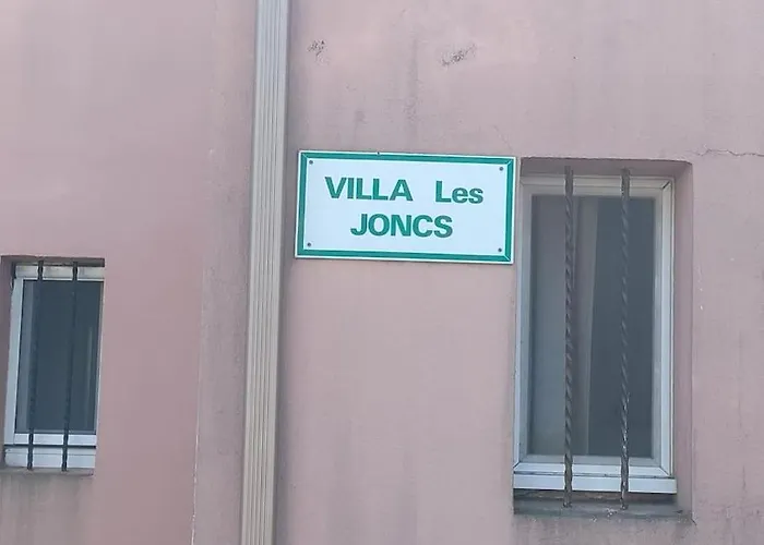 Au Cap D'agde Dans Les Pinedes *